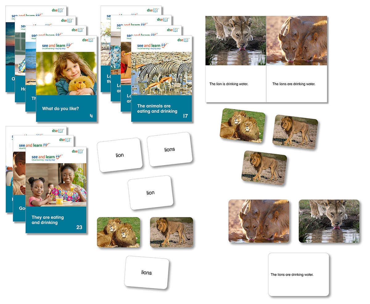 An image of book covers, picture cards, word cards and sentences cards from See and Learn Sentences 1