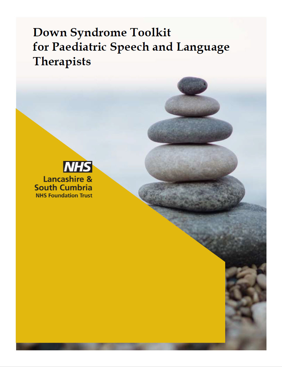 The cover of the Down Syndrome Toolkit for Paediatric Speech and Language Therapists