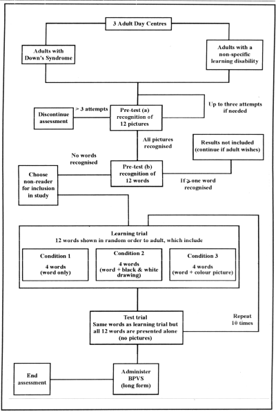 Figure 1. Adults. Flow chart to show the process undertaken during a typical teaching session.